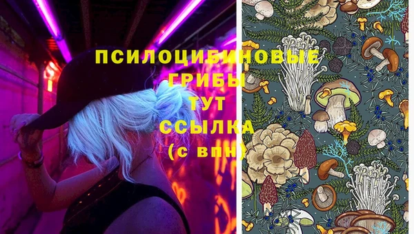 каннабис Алзамай