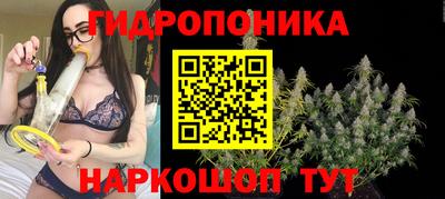 PSILOCYBIN Гусь-Хрустальный