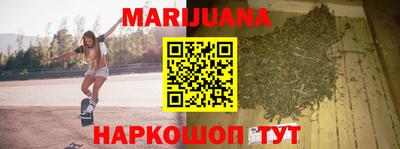 мдпв Гатчина