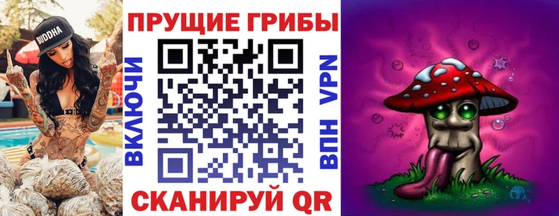 кракен ссылки  Миасс  Псилоцибиновые грибы мухоморы  как найти наркотики 