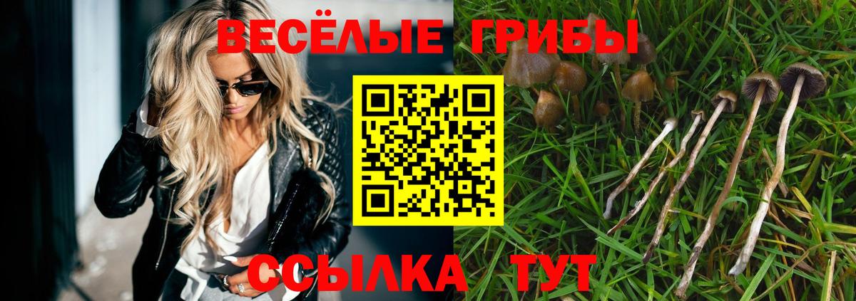 Псилоцибиновые грибы Cubensis Миасс