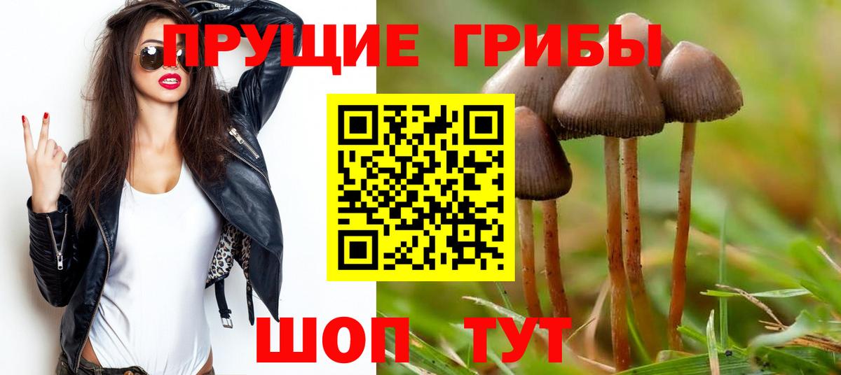 Миасс  цена   Вход с VPN  Псилоцибиновые грибы Magic Shrooms 