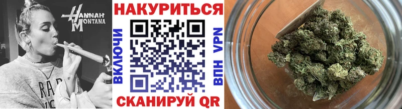 Конопля гибрид  Миасс 